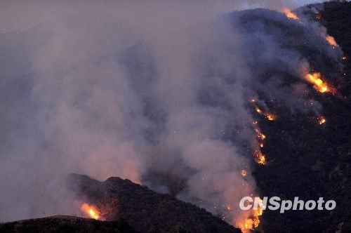 心脑血管前列腺糖尿病-蓝帽松杞片：泛亚电竞平台