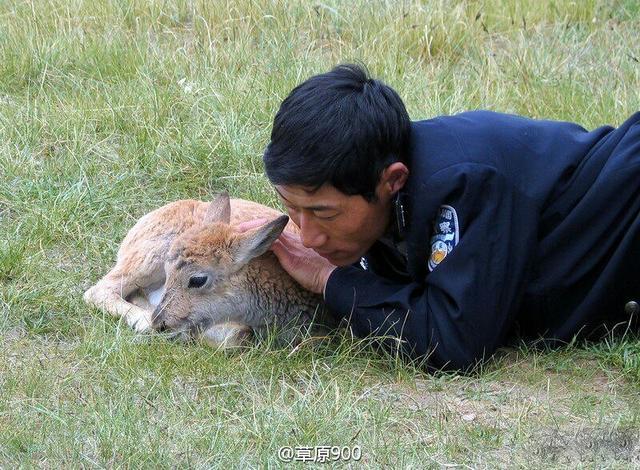 ‘泛亚电竞平台’2019第三届中国（贵州）国际大健康产业博览会 新闻通稿