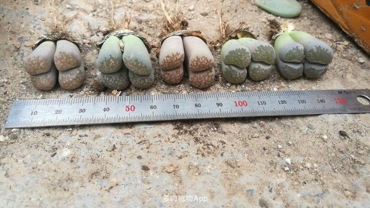 “泛亚电竞”“家庭医生式”将在北京年内普及