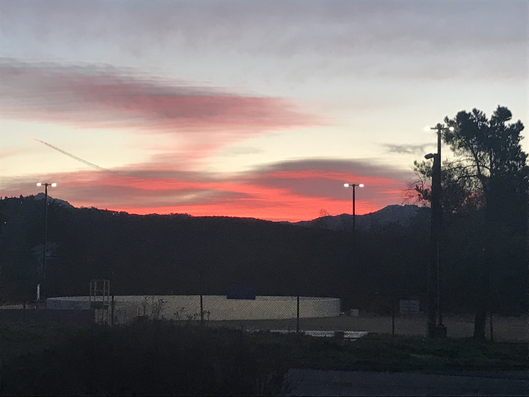 泛亚电竞官网-养生：立秋之日秋燥至 冬虫夏草平补时